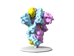 sars-cov-2 spike protein 3D model