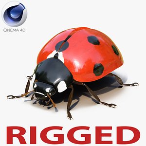 LadyBug Rigged for Cinema 4D