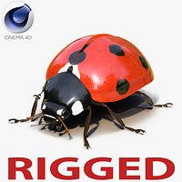 LadyBug Rigged for Cinema 4D