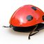 3d ladybug rigged animate model