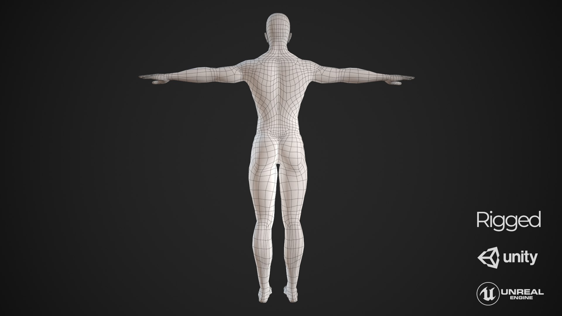 Base Mesh Basemesh Model - TurboSquid 1680951
