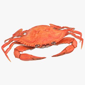 Crab