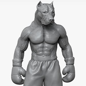 Pitbull award trophy for a boxer