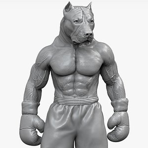 3D model Pitbull award trophy for a boxer