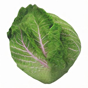 Hyper-Realistic Lettuce