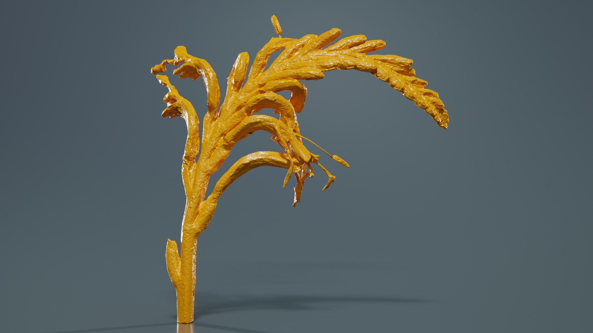Close up African Flag Cornflag Chasmanthe Floribunda Remastered 3D model https://p.turbosquid.com/ts-thumb/ms/3XvWR7/Wn/close_up_african_flag_cornflag_chasmanthe_floribunda_12/jpg/1740373110/1920x1080/fit_q87/c43231cc9d5af26bfd83ede5c745184182529173/close_up_african_flag_cornflag_chasmanthe_floribunda_12.jpg