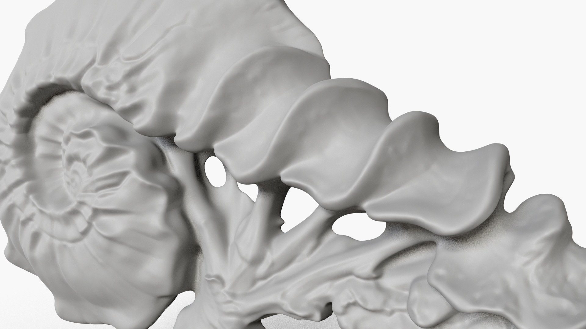 3D Fungus Fossil 16 https://p.turbosquid.com/ts-thumb/ms/7PH4lB/7p/2_fungusfossil16_fullquality_00009/jpg/1730236466/1920x1080/fit_q87/81551c490885931574ce80161e2a7d57933f830b/2_fungusfossil16_fullquality_00009.jpg