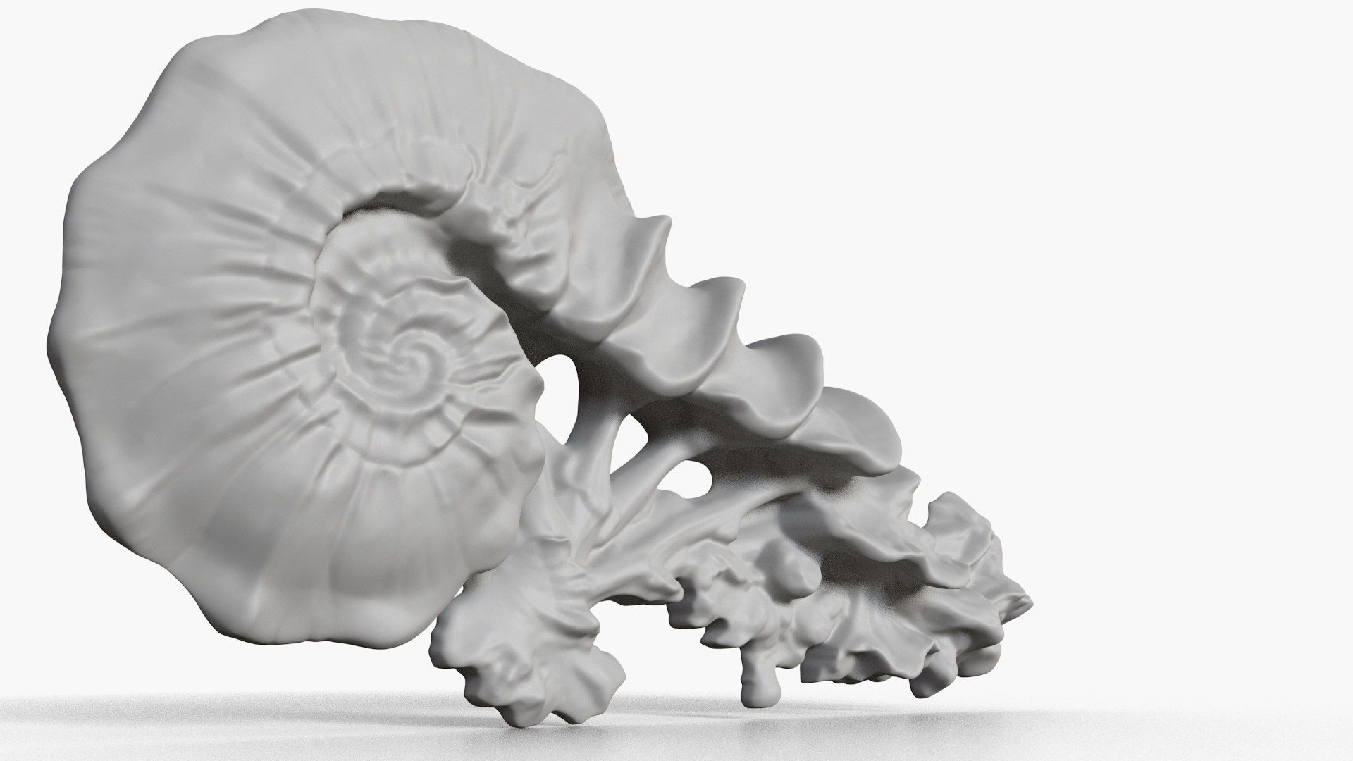3D Fungus Fossil 16 https://p.turbosquid.com/ts-thumb/ms/7PH4lB/Mn/2_fungusfossil16_fullquality_00001/jpg/1730236435/1920x1080/fit_q87/2e01a672ef4e9dfeb20037d1303c7645b630e1e9/2_fungusfossil16_fullquality_00001.jpg