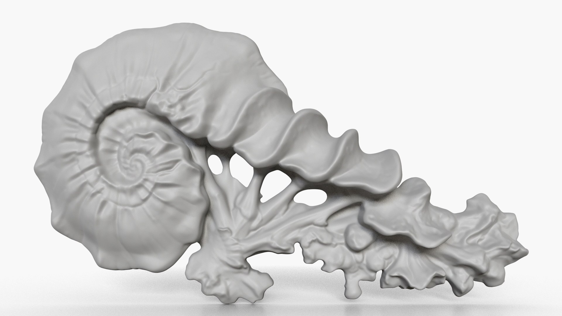 3D Fungus Fossil 16 https://p.turbosquid.com/ts-thumb/ms/7PH4lB/dY/2_fungusfossil16_fullquality_00000/jpg/1730236431/1920x1080/fit_q87/9f2915b6f2aff485e8b8bddd1b53bac9418588f0/2_fungusfossil16_fullquality_00000.jpg