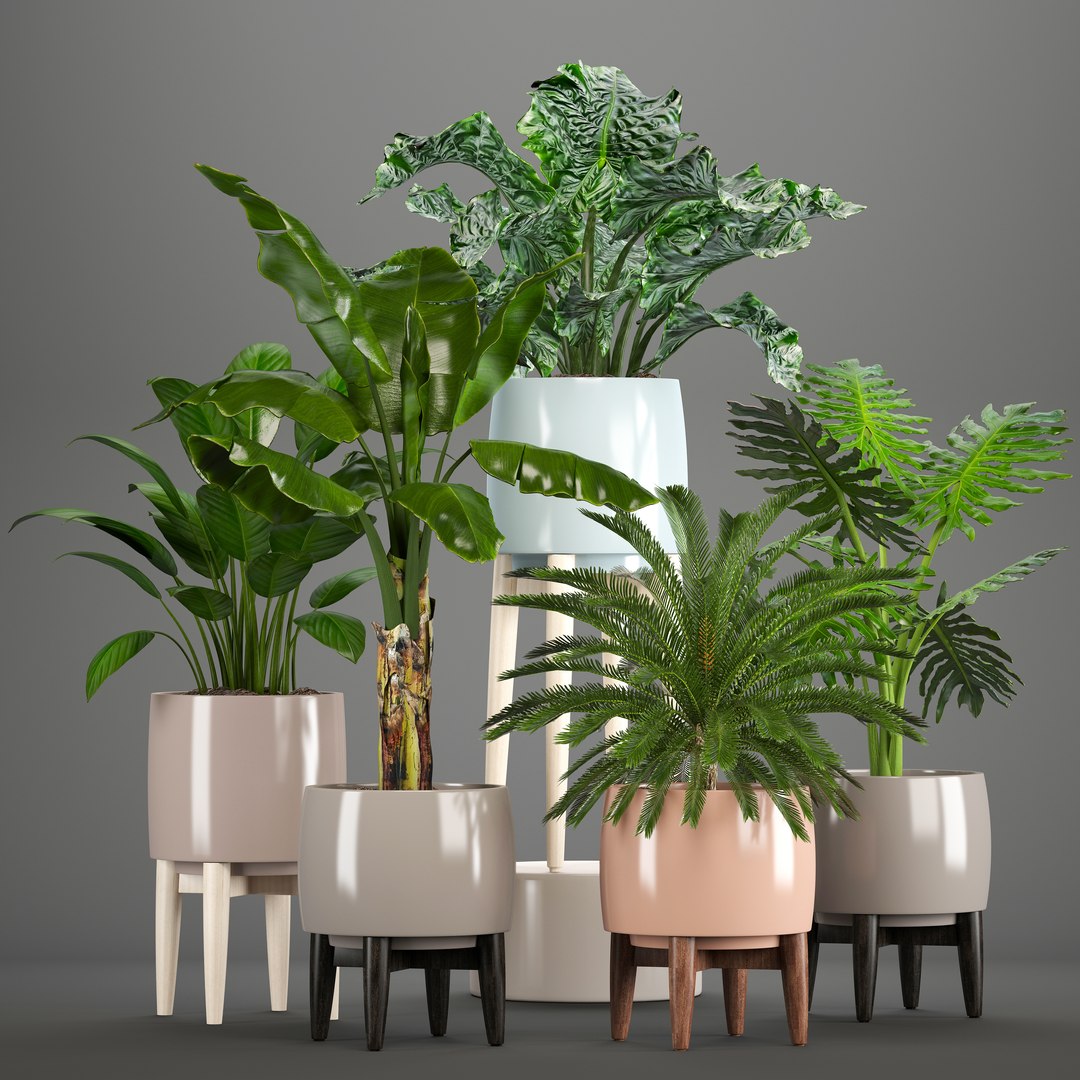 3D Plants Pots - TurboSquid 1301170