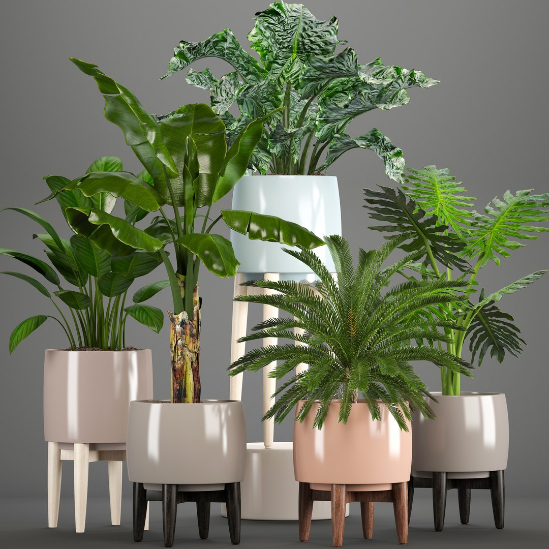 3D Plants Pots - TurboSquid 1301170