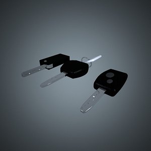Car keys