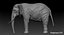 Elefant (manipuliert)