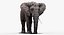 Elefant (manipuliert)