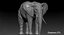 Elefant (manipuliert)