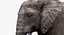 Elefant (manipuliert)