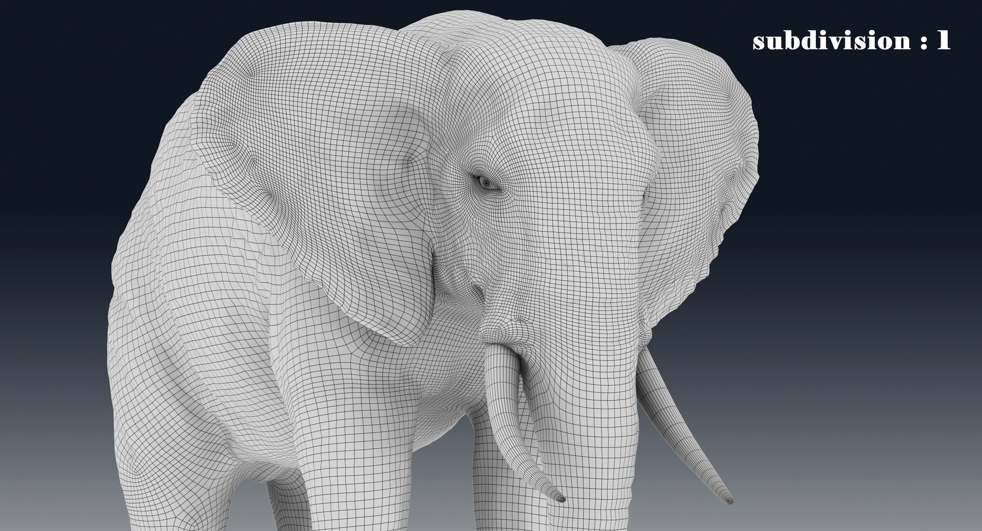 elephant nose 3D model https://p.turbosquid.com/ts-thumb/ms/HibDHl/GVsQVbLG/line42/jpg/1511365018/1920x1080/fit_q87/c1db828c763ad307a49044179e17ff7485f1f76e/line42.jpg