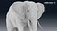 Elefant (manipuliert)