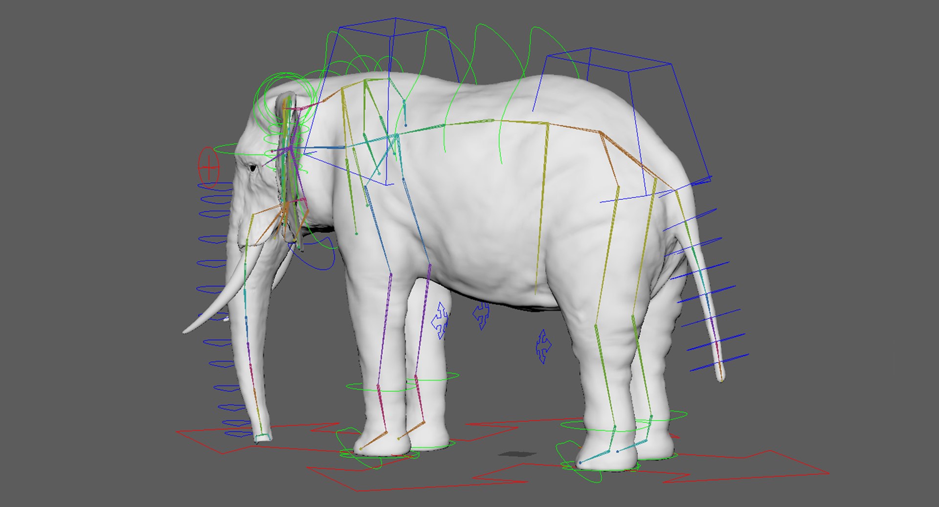 elephant nose 3D model https://p.turbosquid.com/ts-thumb/ms/HibDHl/Iux2yvwo/ctrl006/jpg/1509291776/1920x1080/fit_q87/104096f08a9444d30ab41e32cbbbb4c3c3dbe0f3/ctrl006.jpg