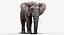 Elefant (manipuliert)