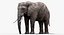 Elefant (manipuliert)