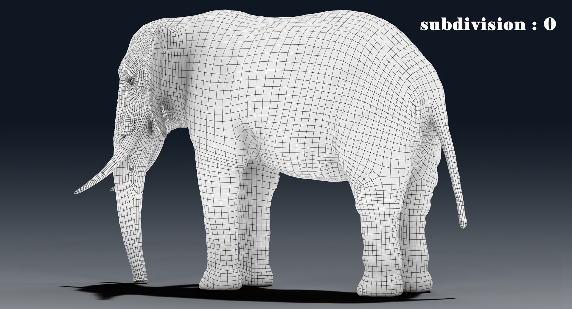 elephant nose 3D model https://p.turbosquid.com/ts-thumb/ms/HibDHl/XBzMCrsI/line21/jpg/1511365018/1920x1080/fit_q87/fbc22eeeae777534abea16c4314698dfbdf6f9b6/line21.jpg