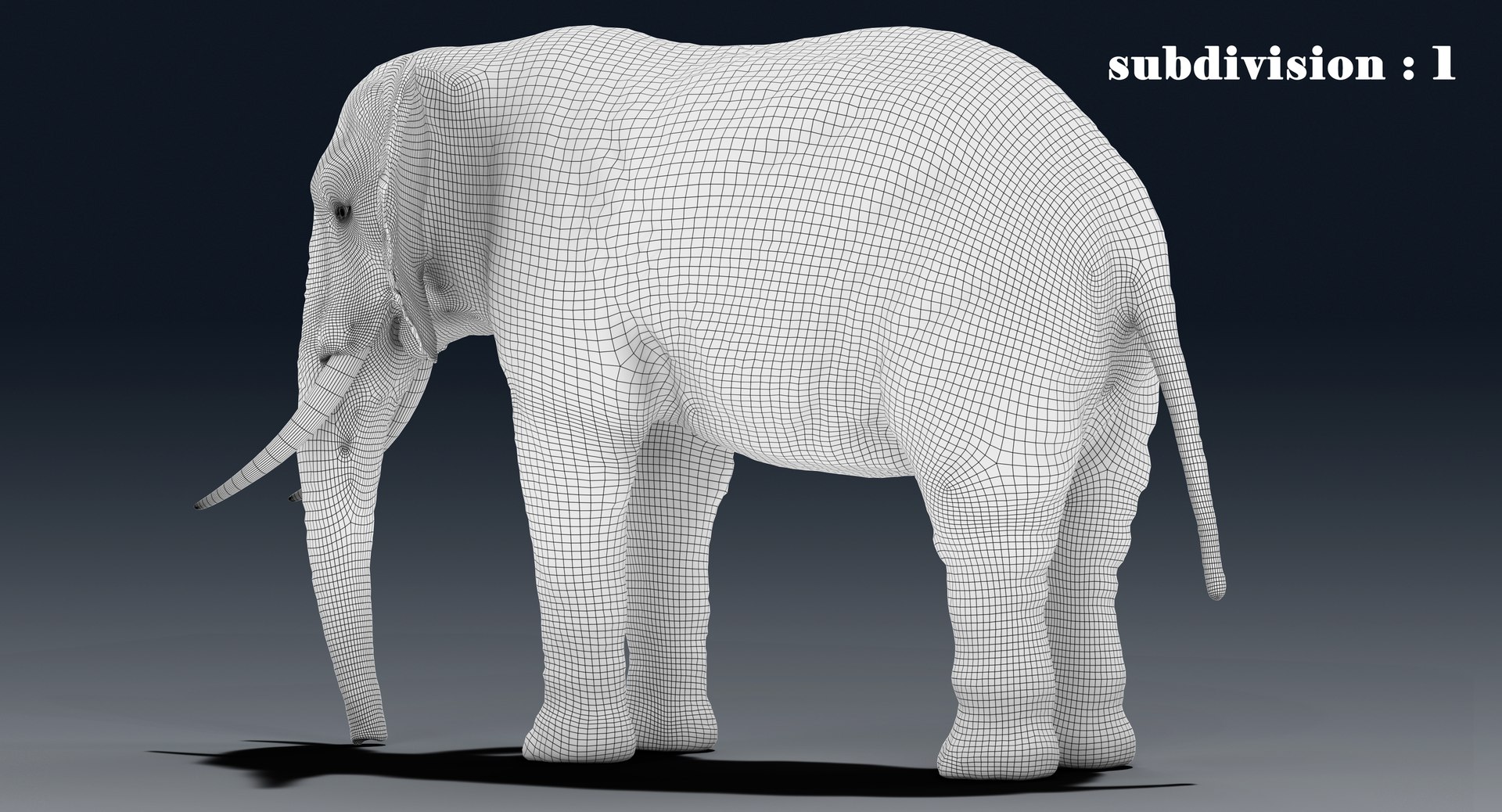 elephant nose 3D model https://p.turbosquid.com/ts-thumb/ms/HibDHl/Yt3vGbuZ/line22/jpg/1511365018/1920x1080/fit_q87/adaadf1fa72a2b252438dc6be3fbe5d2f0e44f65/line22.jpg