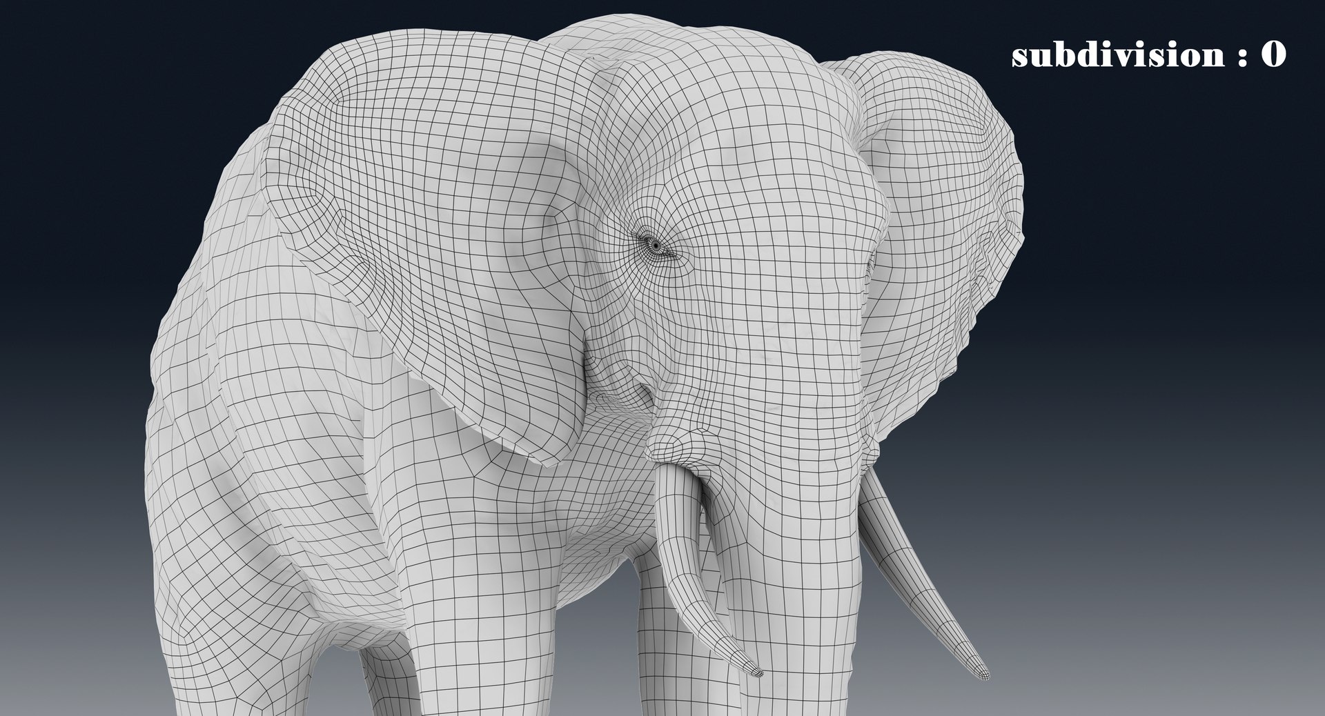 elephant nose 3D model https://p.turbosquid.com/ts-thumb/ms/HibDHl/ej2tlzt7/line41/jpg/1511371778/1920x1080/fit_q87/b179481436337a3ccc5627d8c53b870559ccf71a/line41.jpg