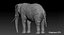 Elefant (manipuliert)