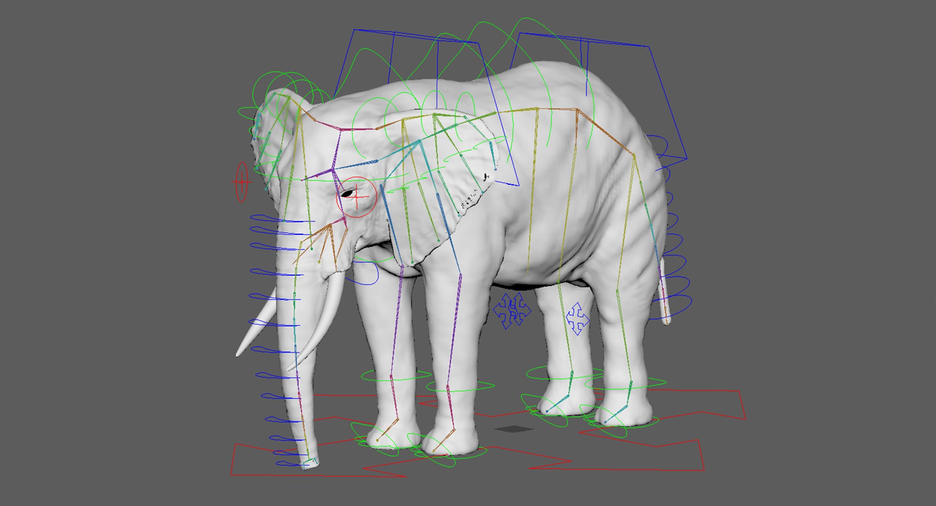 elephant nose 3D model https://p.turbosquid.com/ts-thumb/ms/HibDHl/mC8gUNS5/ctrl004/jpg/1509291776/1920x1080/fit_q87/8ac6fc0d718b4e65ab26de2292ca084ca6b01f9f/ctrl004.jpg