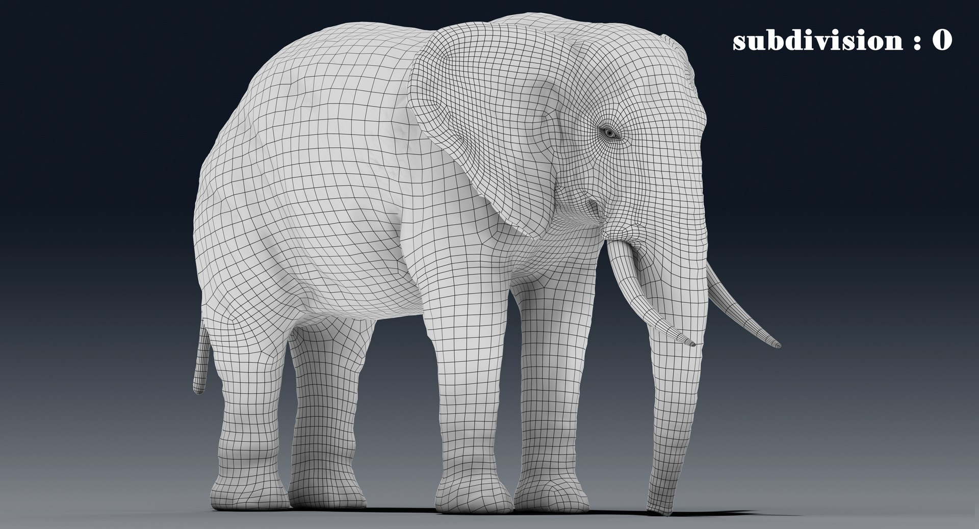 elephant nose 3D model https://p.turbosquid.com/ts-thumb/ms/HibDHl/mbTLFGAj/line31/jpg/1511365018/1920x1080/fit_q87/d5d9332fbb80a8b52821fa8f4ce6641f6d09be4c/line31.jpg
