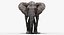 Elefant (manipuliert)