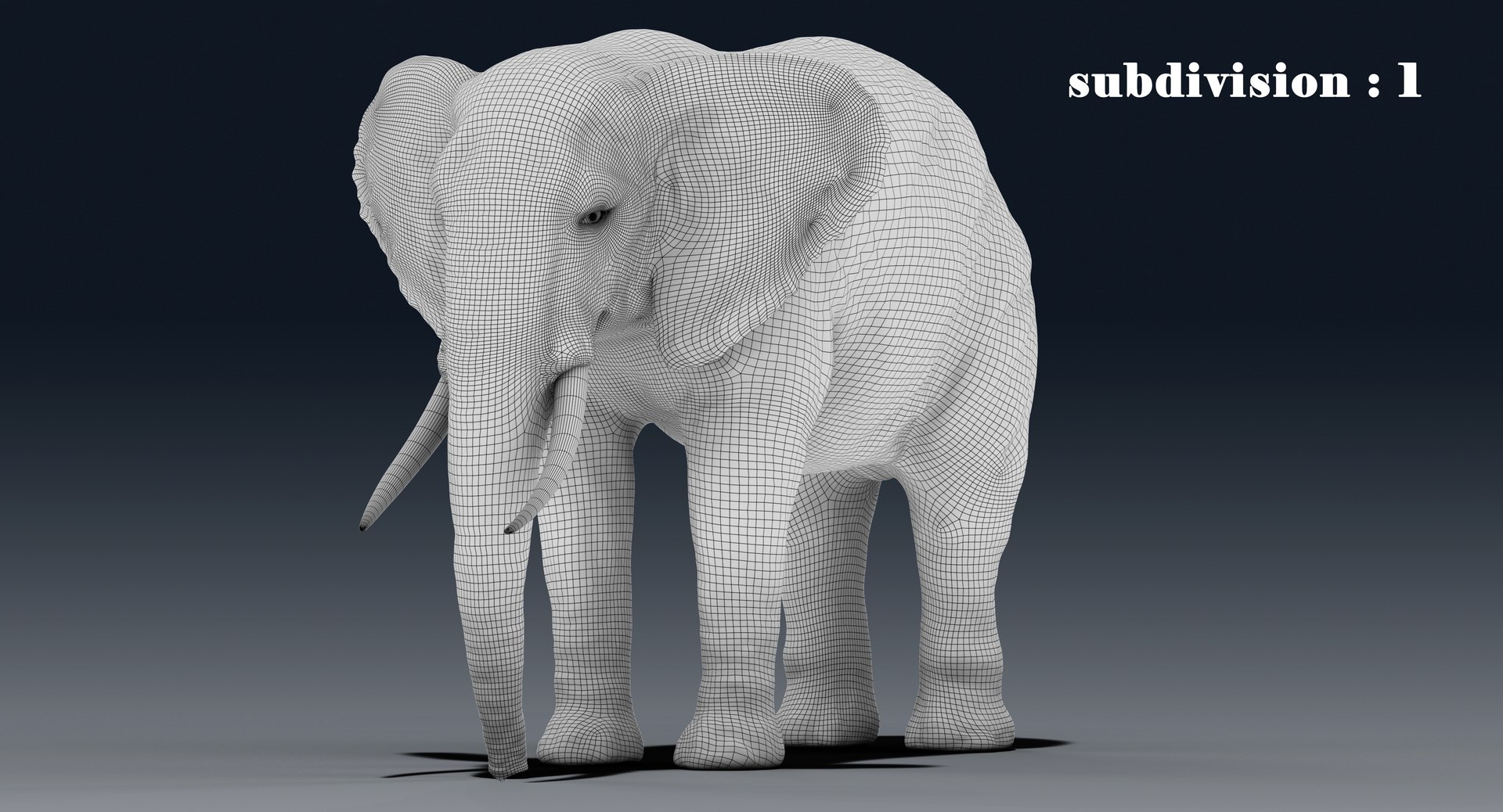 elephant nose 3D model https://p.turbosquid.com/ts-thumb/ms/HibDHl/r2vv4LzE/line12/jpg/1511365018/1920x1080/fit_q87/3675baeced47a2f12b0fe6662e22bd8df943147f/line12.jpg