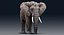 Elefant (manipuliert)