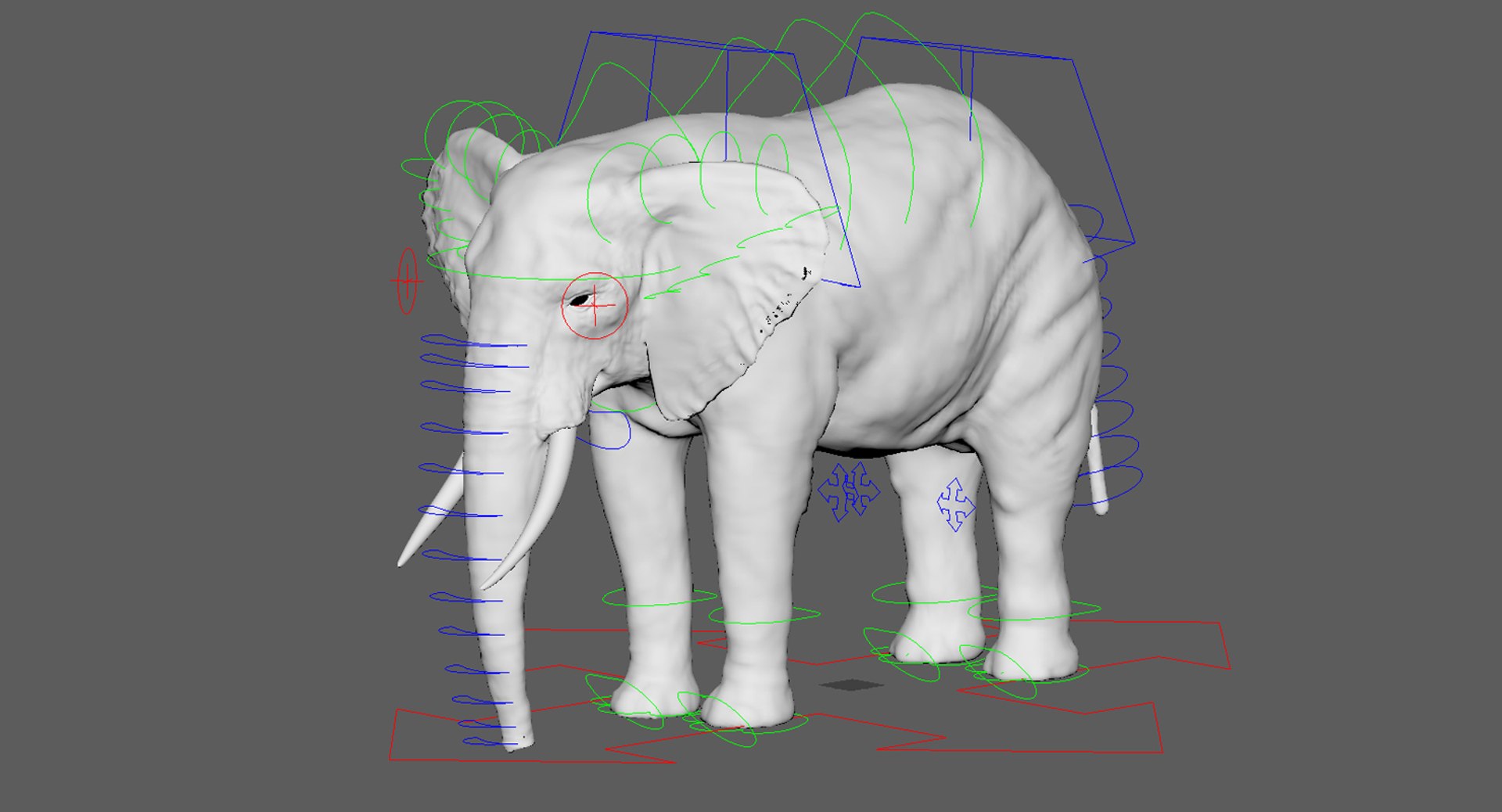 elephant nose 3D model https://p.turbosquid.com/ts-thumb/ms/HibDHl/vPX9jdQl/ctrl005/jpg/1509291776/1920x1080/fit_q87/3973ce4ddc874b38c2ccfa48861c78d1fb026c43/ctrl005.jpg