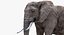 Elefant (manipuliert)