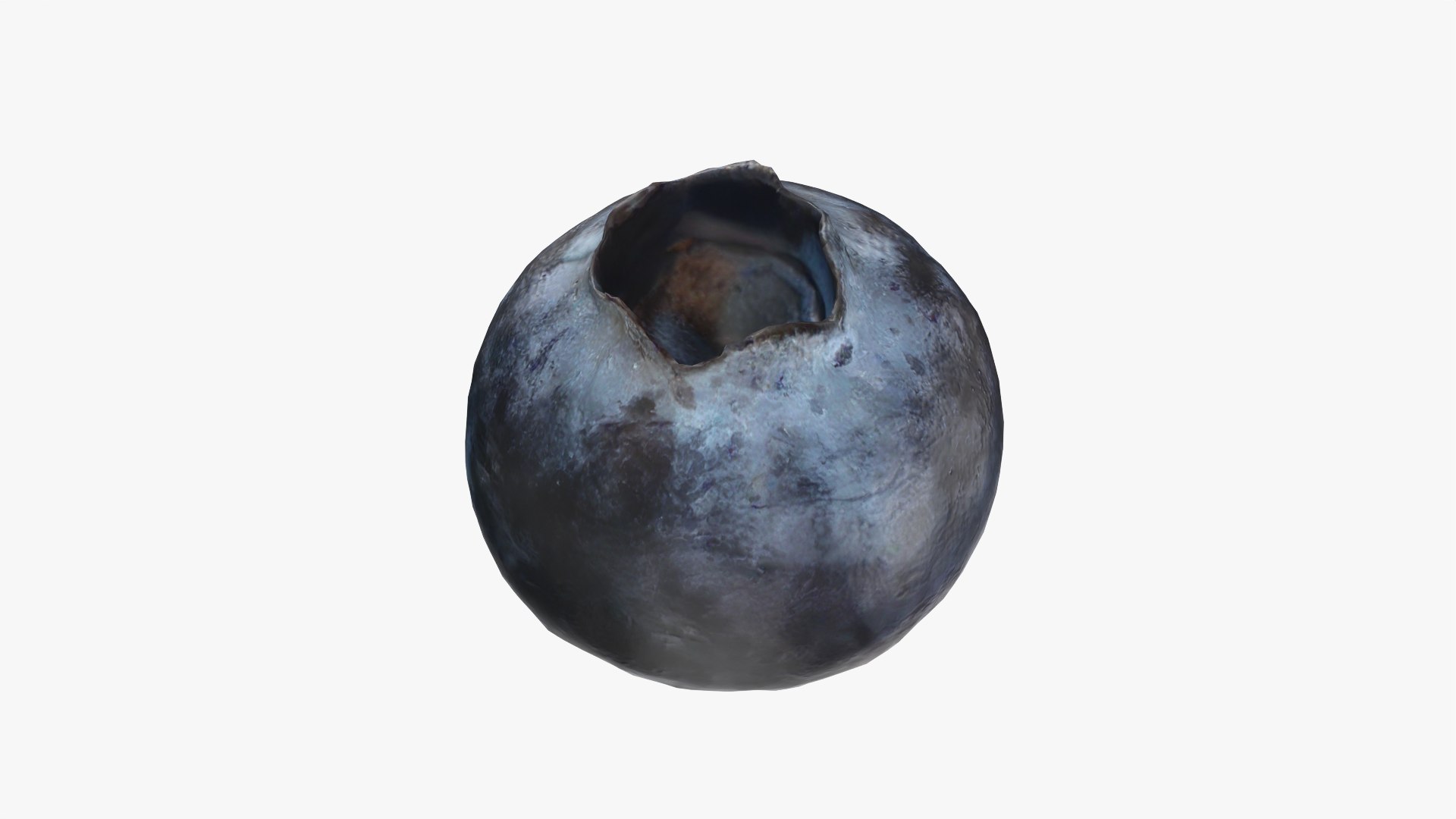 3D Blueberry - Photo Scan model https://p.turbosquid.com/ts-thumb/ms/Rn1q5a/5U/model_0002/png/1768472789/1920x1080/fit_q87/e030d28b7d406dbab6aa0c55f4635f9ec52d6cb5/model_0002.jpg