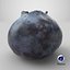 3D Blueberry - Photo Scan model