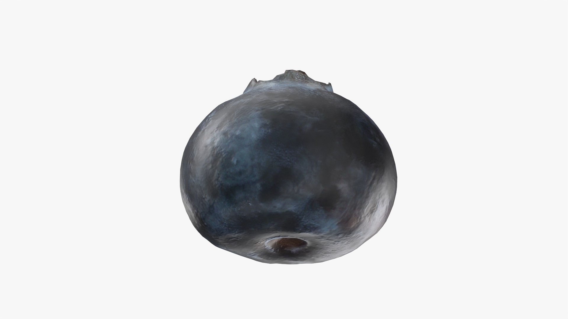 3D Blueberry - Photo Scan model https://p.turbosquid.com/ts-thumb/ms/Rn1q5a/F3/model_0004/png/1768472792/1920x1080/fit_q87/c93e644ac131d77324a72165f35c073bf1555589/model_0004.jpg