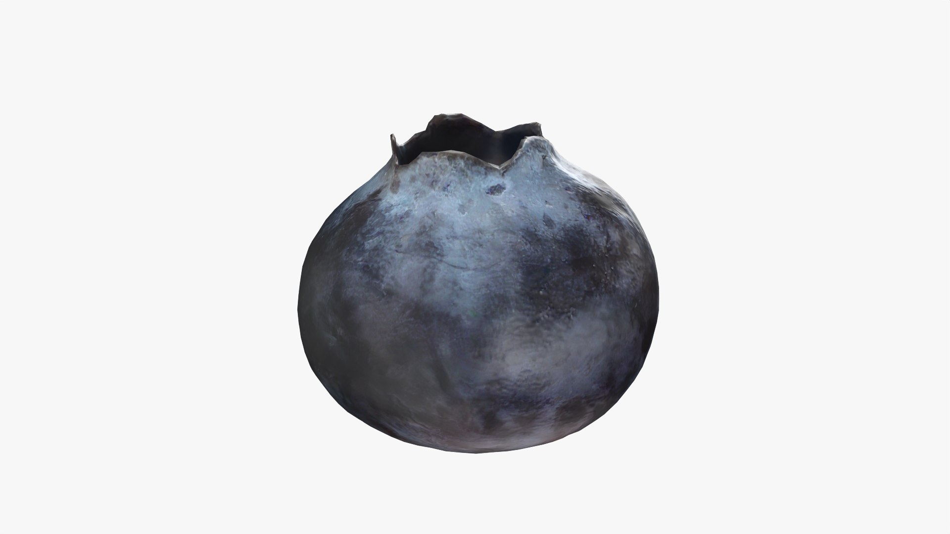 3D Blueberry - Photo Scan model https://p.turbosquid.com/ts-thumb/ms/Rn1q5a/HQ/model_0003/png/1768472791/1920x1080/fit_q87/1a3f18abbb044401861ed0ea9bf1464de159bab5/model_0003.jpg