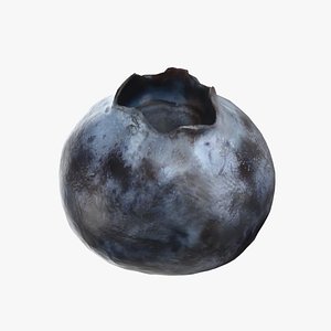 Blueberry - Photo Scan