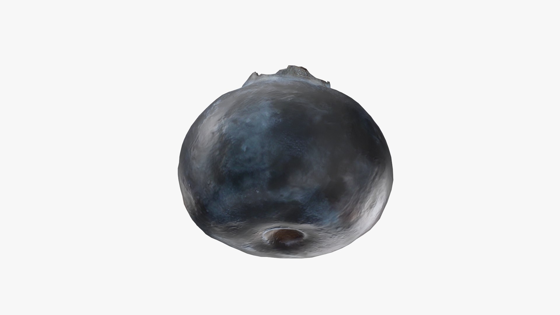 3D Blueberry - Photo Scan model https://p.turbosquid.com/ts-thumb/ms/Rn1q5a/ZX/model_0008/png/1768472795/1920x1080/fit_q87/09bf16e5beebf11b771a0f0a03904539cec712f5/model_0008.jpg