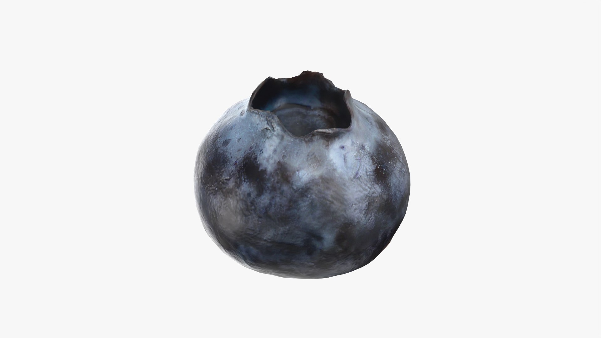 3D Blueberry - Photo Scan model https://p.turbosquid.com/ts-thumb/ms/Rn1q5a/c4/model_0006/png/1768472793/1920x1080/fit_q87/69477583edfbacccaec71516e2f9eaf24f72be5d/model_0006.jpg