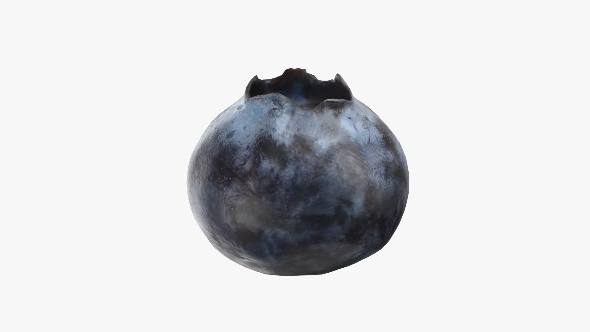 3D Blueberry - Photo Scan model https://p.turbosquid.com/ts-thumb/ms/Rn1q5a/hB/model_0001/png/1768472789/1920x1080/fit_q87/702fddf0ffc16f130e4c275e71c92710c2dd63c4/model_0001.jpg