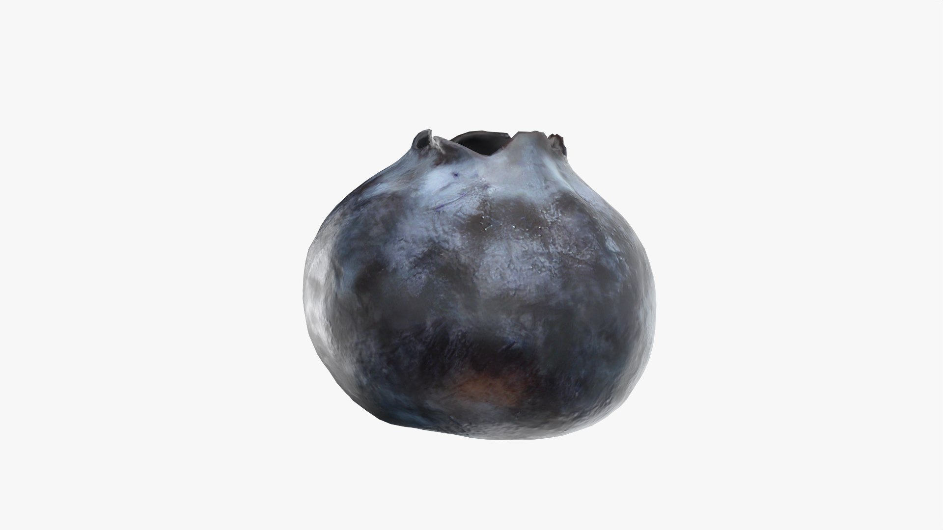 3D Blueberry - Photo Scan model https://p.turbosquid.com/ts-thumb/ms/Rn1q5a/pP/model_0007/png/1768472798/1920x1080/fit_q87/f012adf188e895e43bc9fab59bfb0ce0ecc1497e/model_0007.jpg