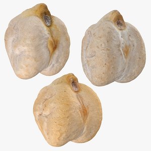 Dry Chickpea Collection