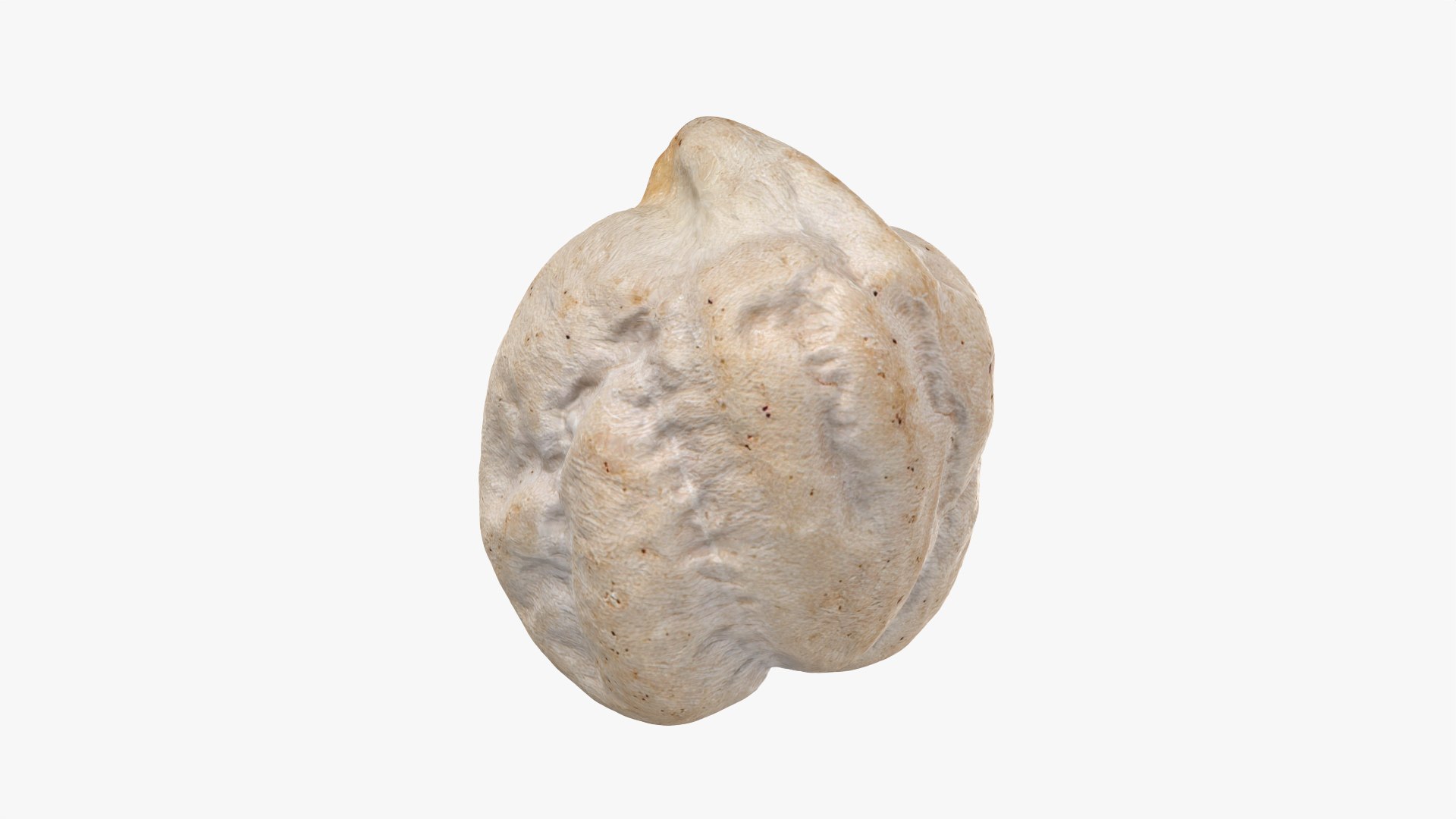 3D Dry Chickpea Collection model https://p.turbosquid.com/ts-thumb/ms/T26BYA/U2/chickpeadry02_0002/png/1770120126/1920x1080/fit_q87/795faa28efb40134d9b4348a0548f79f7ee5acab/chickpeadry02_0002.jpg