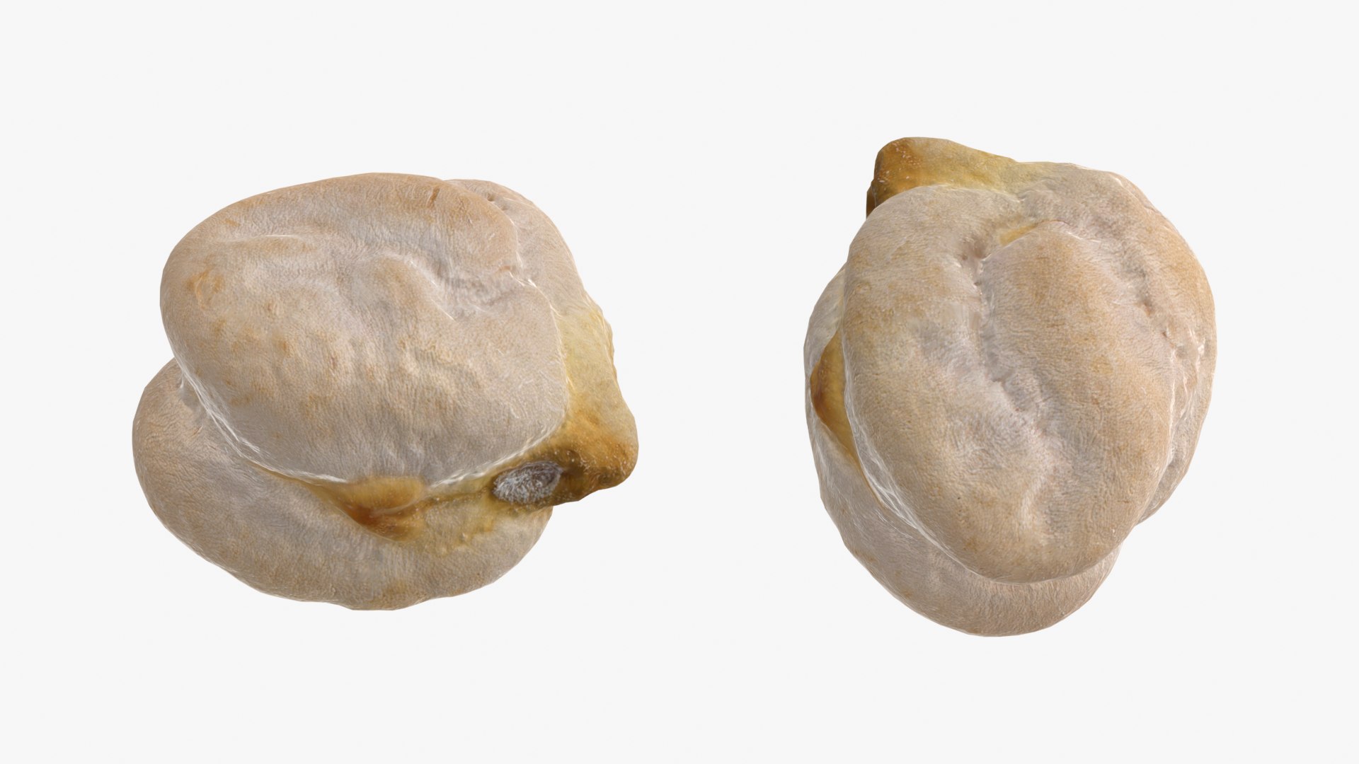 3D Dry Chickpea Collection model https://p.turbosquid.com/ts-thumb/ms/T26BYA/U3/chickpeadry01_0001b/png/1770120118/1920x1080/fit_q87/170f8f13c07fc4a1e380fe621ed27bdb0d8575cd/chickpeadry01_0001b.jpg