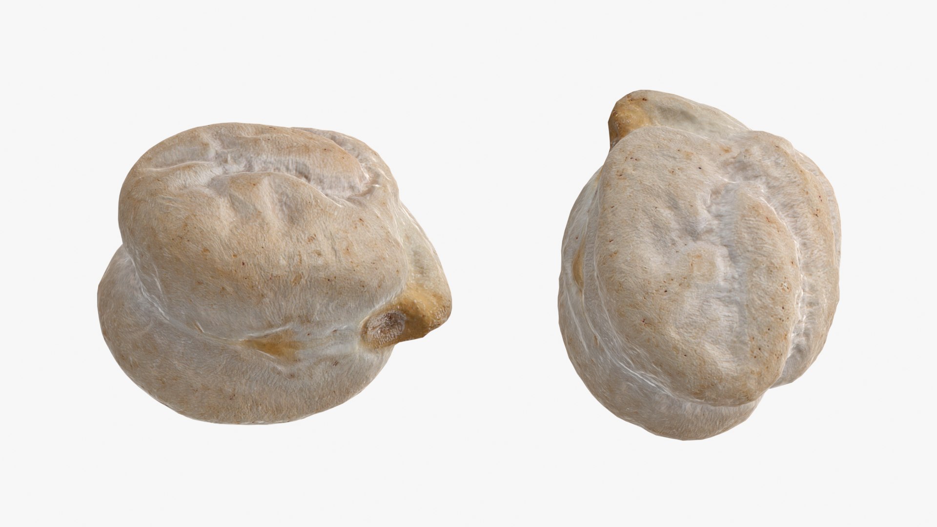 3D Dry Chickpea Collection model https://p.turbosquid.com/ts-thumb/ms/T26BYA/cu/chickpeadry02_0001b/png/1770120124/1920x1080/fit_q87/feeb4f37c88fb2cfc3145ddd99de3f0a2ebef8ec/chickpeadry02_0001b.jpg