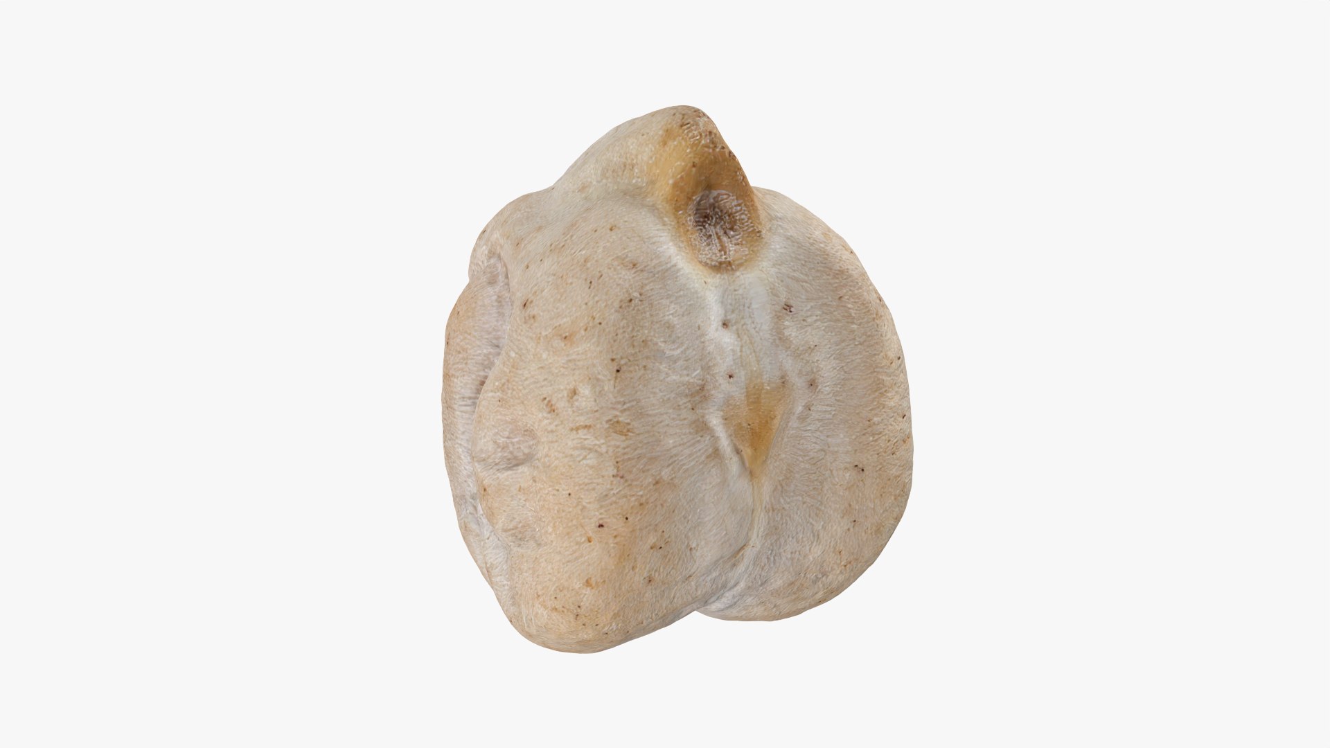 3D Dry Chickpea Collection model https://p.turbosquid.com/ts-thumb/ms/T26BYA/pw/chickpeadry02_0001/png/1770120127/1920x1080/fit_q87/ecfdca4f493f5af4de3e54fe4d358fdf454a069b/chickpeadry02_0001.jpg
